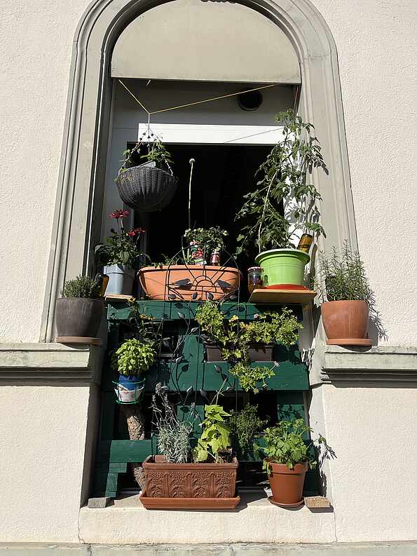 Mein Fenstersims nachher